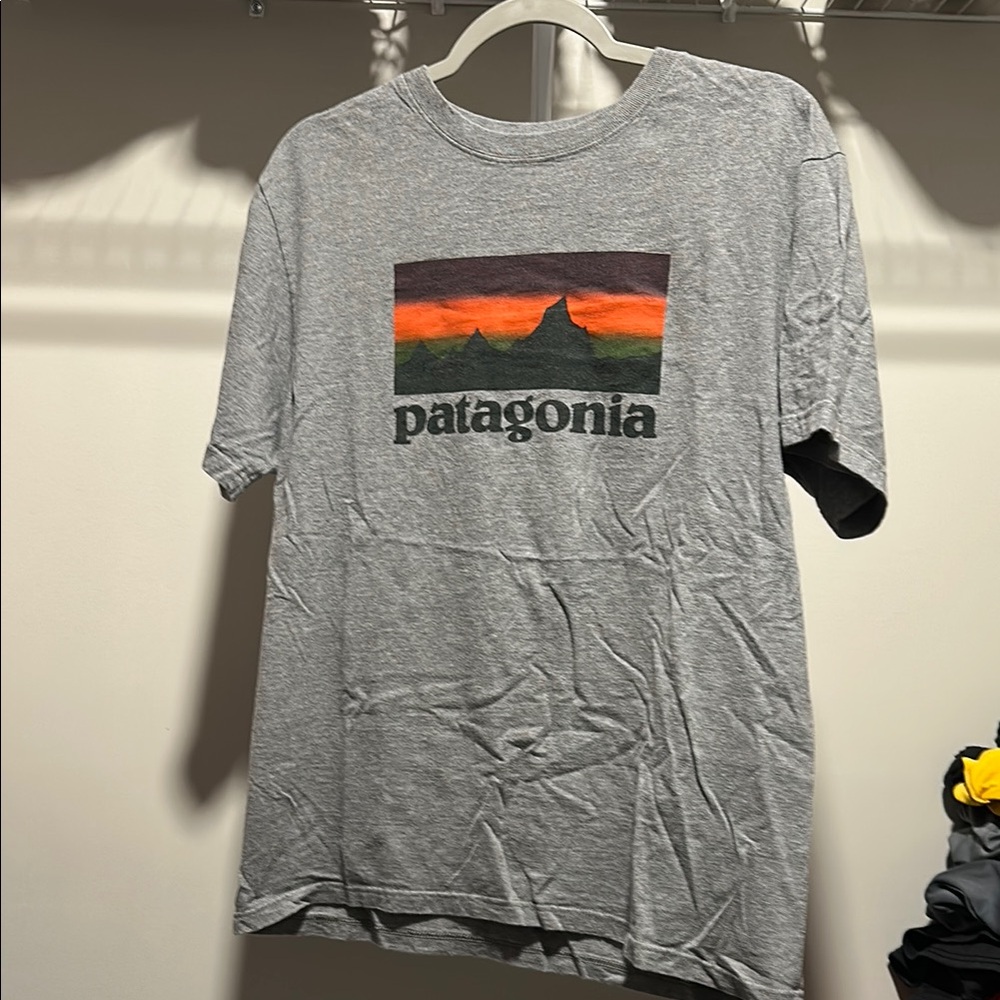 Patagonia t shirt